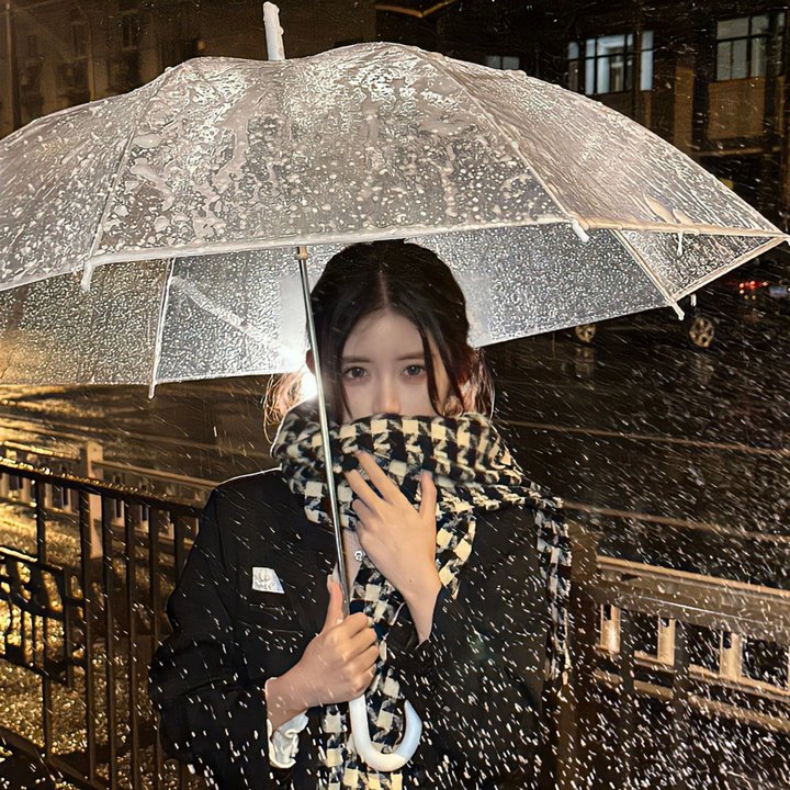 单骑悍盗